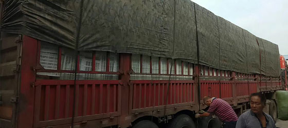 給你想要的客服服務